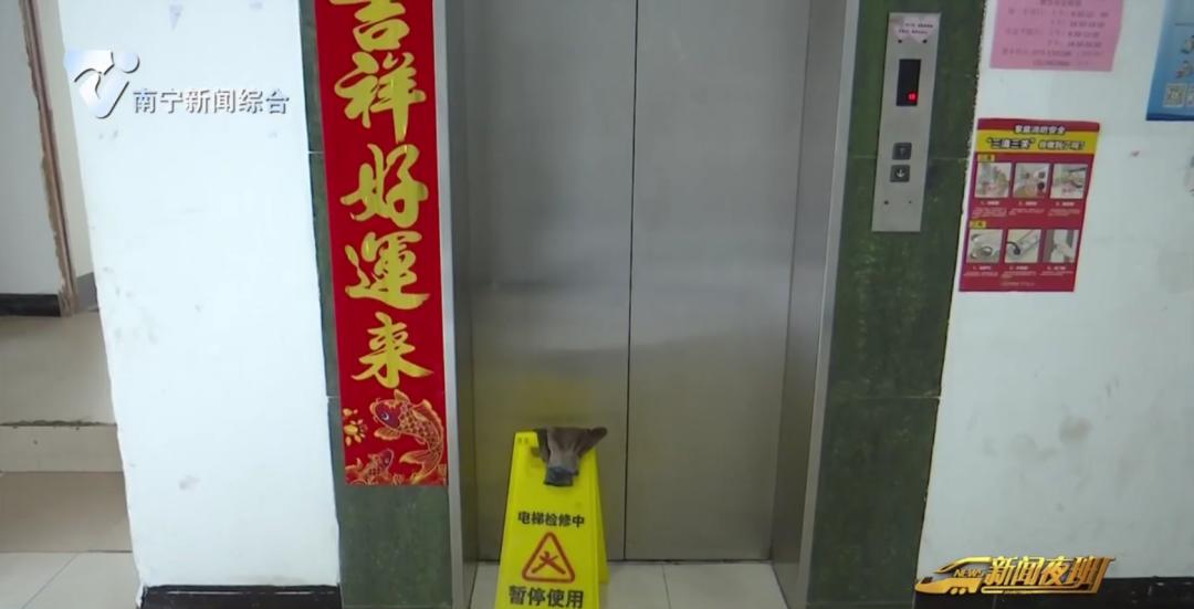 青年国际小区电梯故障持续一个月，业主每天爬千级台阶苦不堪言  第2张