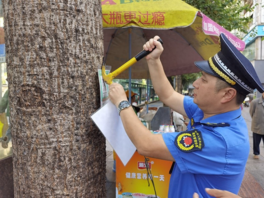 城中区执法局拔钉行动：行道树上的‘私人置物架’，谁来守护城市的绿色风景线？