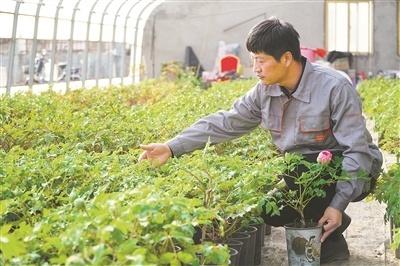 职称评审高峰期已至，你想知道的都在这里  第1张