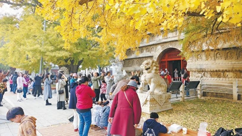 600 岁古银杏树换装，北京石刻艺术博物馆文创市集火了