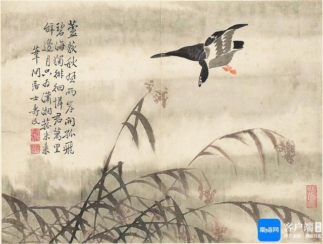 从北宋瑞鹤图到现代海南，候鸟的故事你知道多少？  第3张