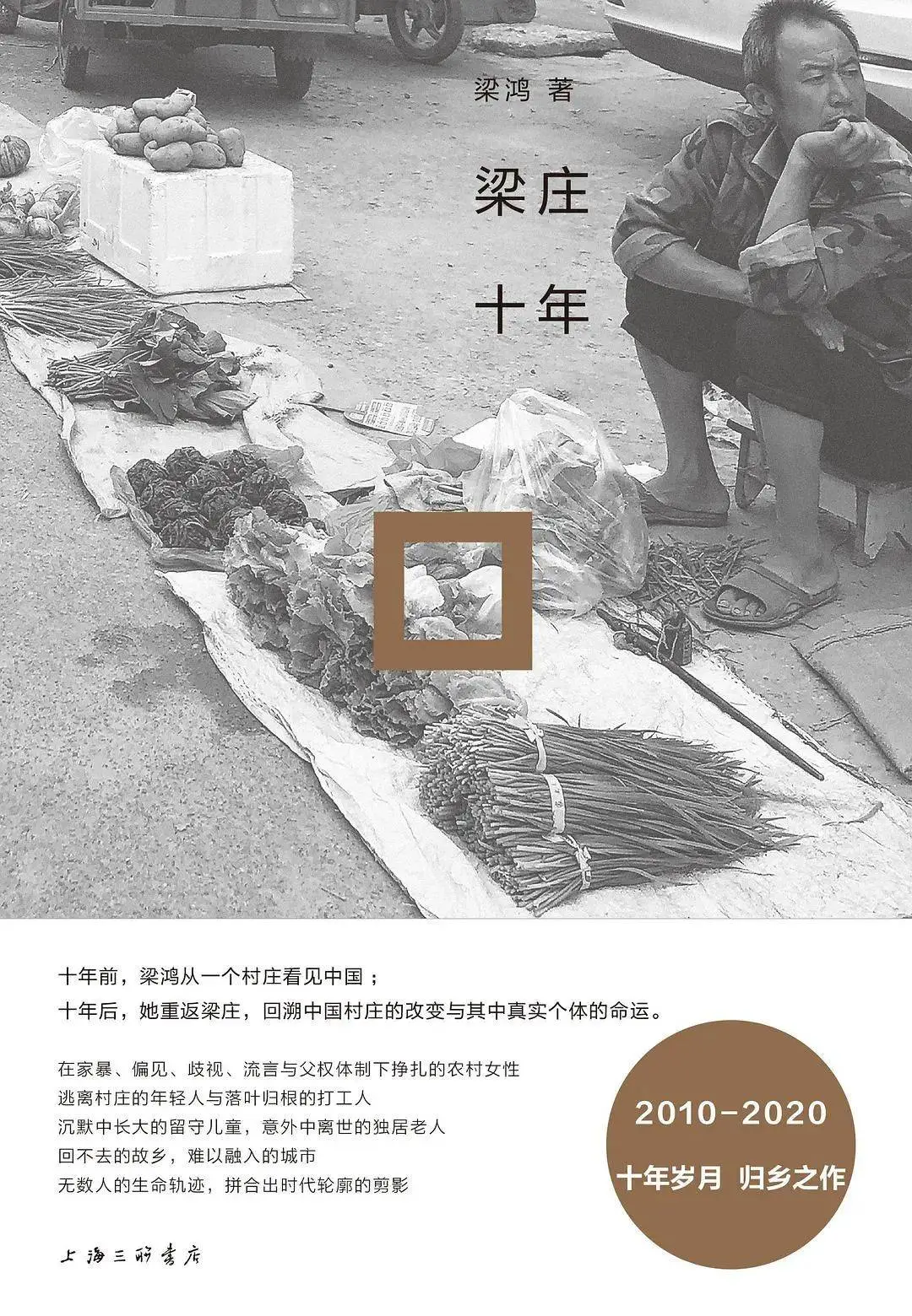 梁鸿：在河南小城，探寻家乡的变迁与记忆  第4张
