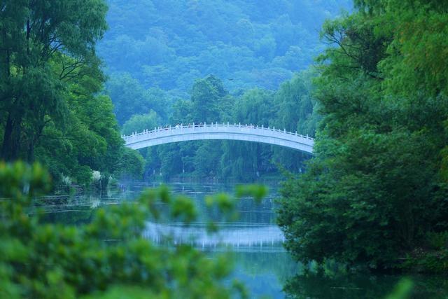 秋意浓！贵阳花溪国家城市湿地公园，层林尽染美如画，赶紧来打卡  第2张