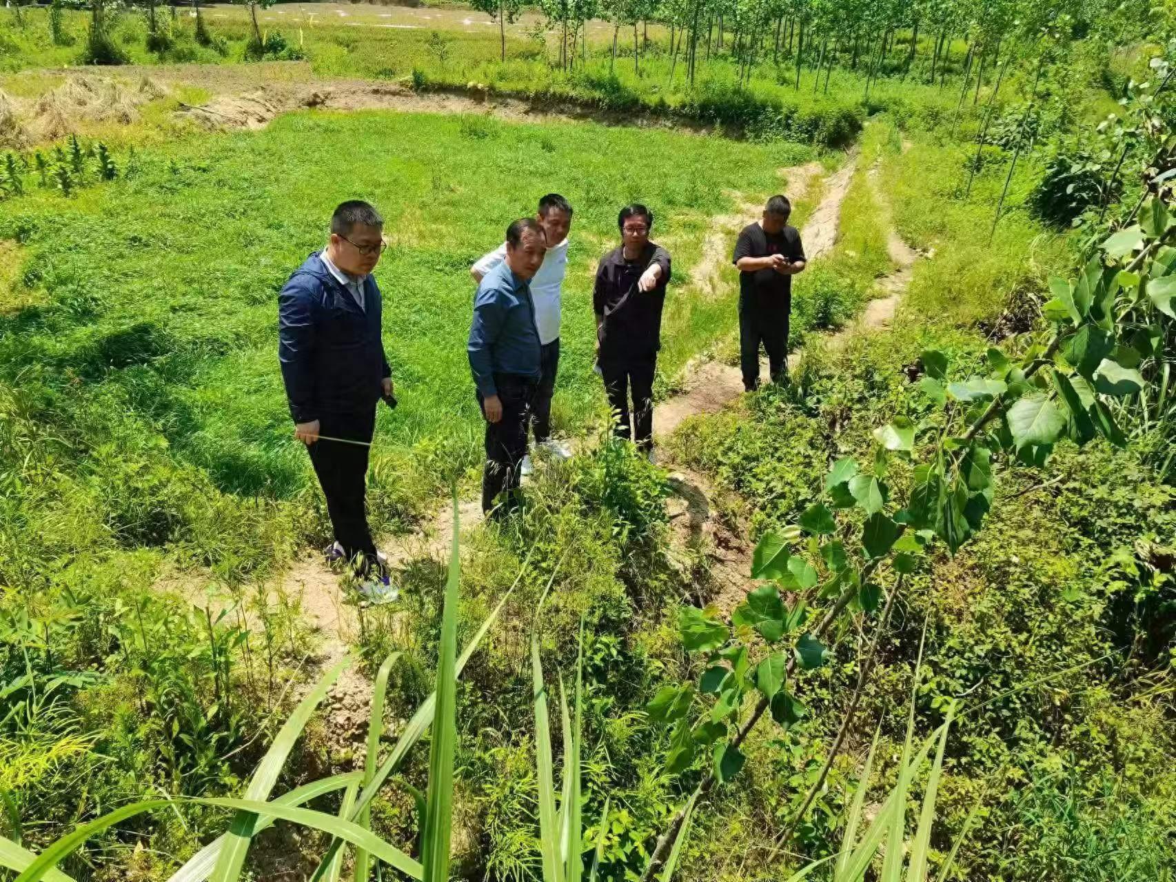 危桥改造迫在眉睫!金寨县交通局未雨绸缪,精准部署 2025 年项目建设 第1张 危桥改造迫在眉睫!金寨县交通局未雨绸缪,精准部署 2025 年项目建设 第1张