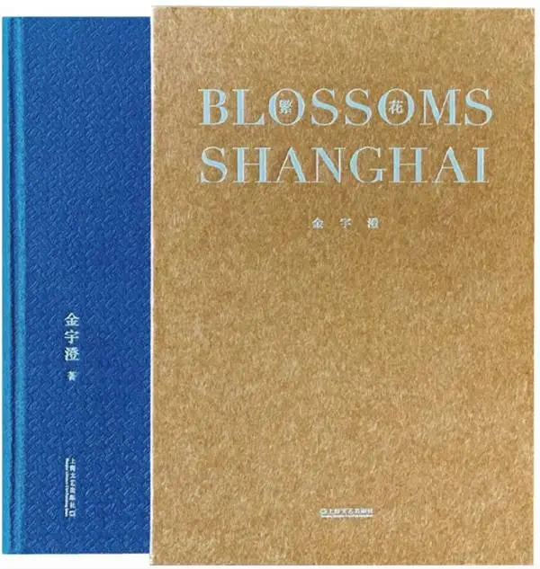 王安忆笔下的富萍，讲述苏北女子在上海的遭际，为何如此精彩？  第3张