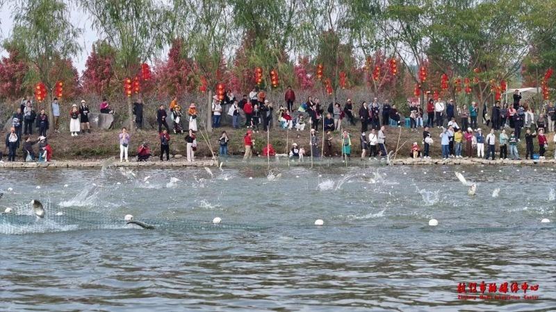 3000 多人齐聚枝江，捕鱼节热闹非凡，全鱼宴鲜香四溢，你还不来？  第5张