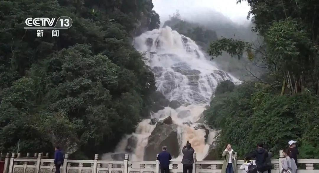 全球仅存约 1000 只的海南鳽，竟比大熊猫还稀少