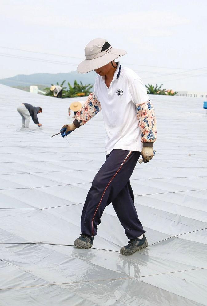 肇庆市高要区万亩罗氏沼虾塘披上保温膜，背后的原因竟然是……  第4张