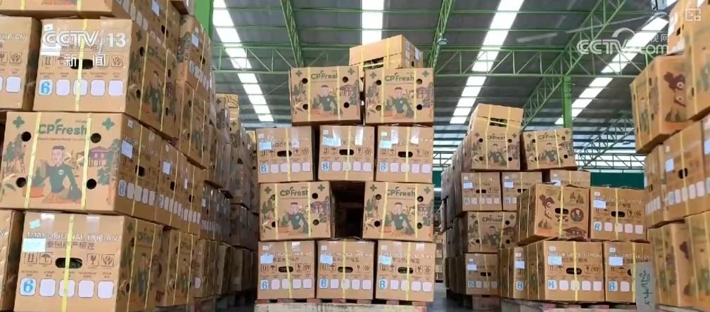 第七届进博会将迎泰国榴莲，口感品质绝佳，你准备好了吗？  第4张
