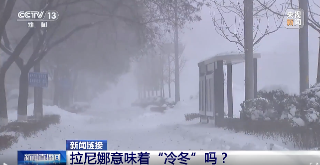 强冷空气发货！上海大雾后气温将迎大跳水  第7张