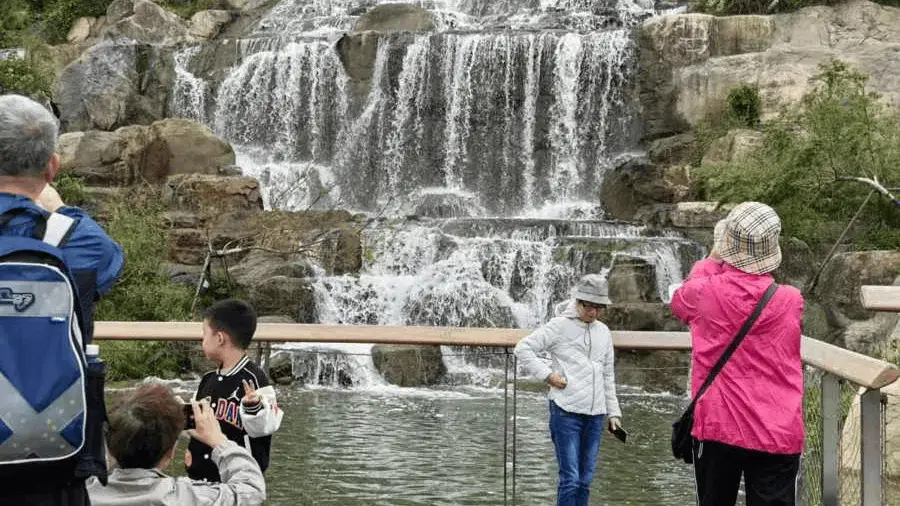 世博文化公园双子山成上海顶流景点，预约难、黄牛票泛滥引争议