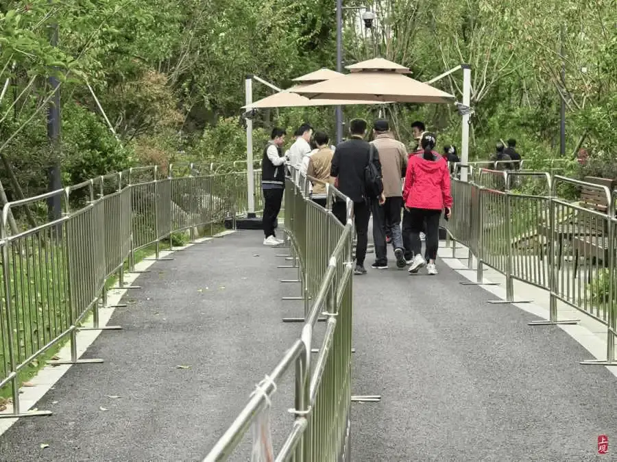 世博文化公园双子山成上海顶流景点，预约难、黄牛票泛滥引争议  第5张