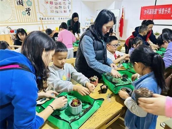 垃圾分类新时尚，多肉盆栽 DIY 活动来袭  第3张