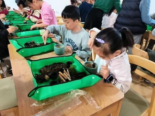垃圾分类新时尚，多肉盆栽 DIY 活动来袭  第4张