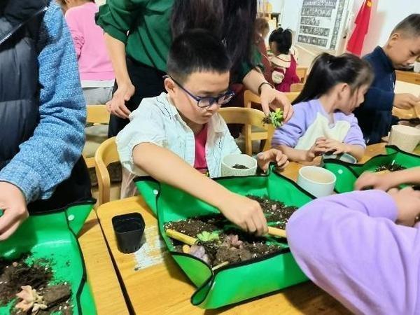 垃圾分类新时尚，多肉盆栽 DIY 活动来袭  第5张