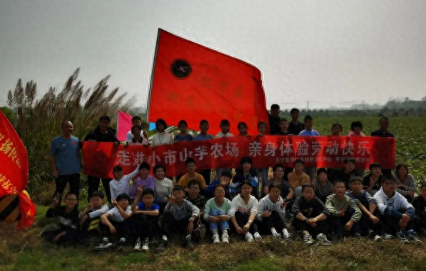 人生在勤，不索何获？学生们走进小市山芋农场，体验劳动快乐  第1张