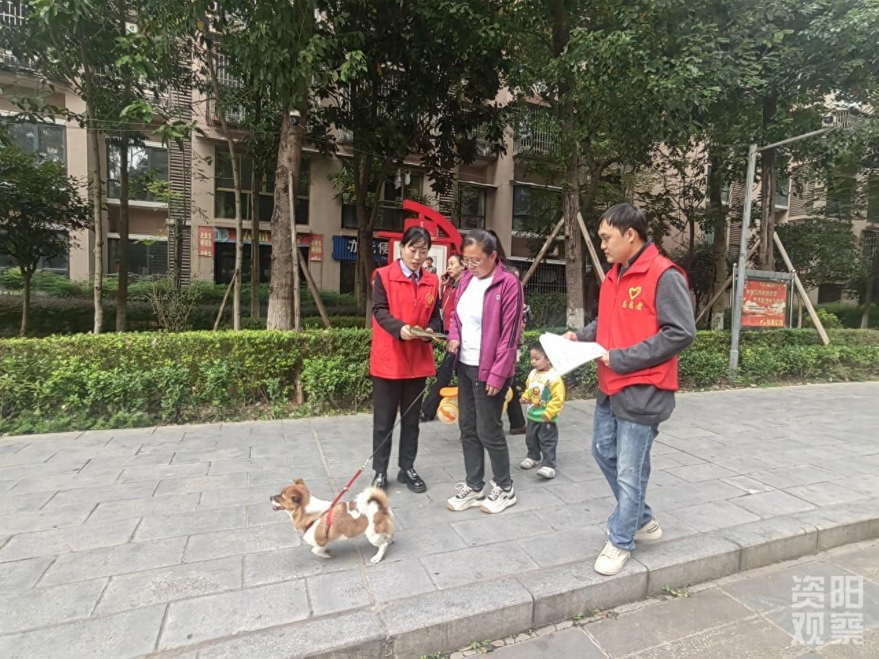 不文明养犬行为太可恶！雁江区社区放大招了  第1张