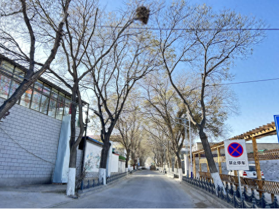深秋的杏胡台，为何被大自然精心点缀成五彩斑斓的调色盘？