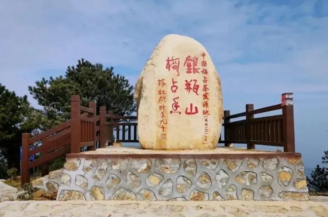 安溪茶不仅有铁观音,还有梅占茶!你知道吗? 第5张 安溪茶不仅有铁观音,还有梅占茶!你知道吗? 第5张