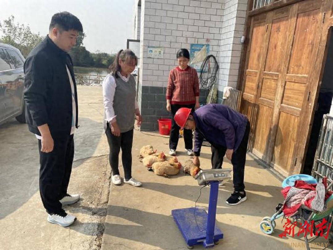 长沙轨道集团驻村干部陈雷：深入复胜村，助力乡村振兴  第1张