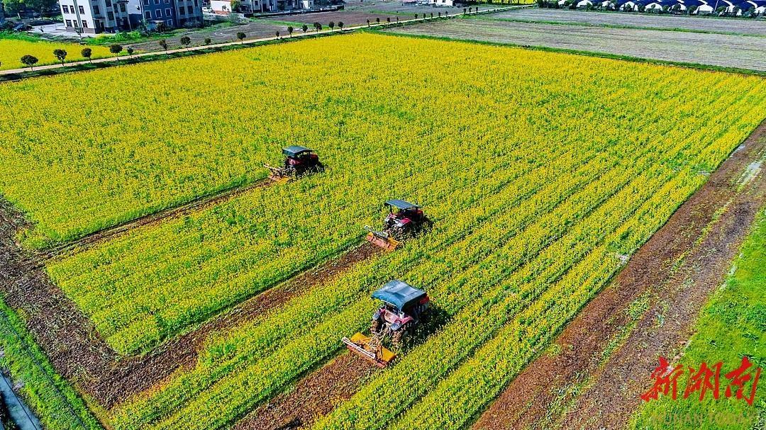 长沙轨道集团驻村干部陈雷：深入复胜村，助力乡村振兴  第4张