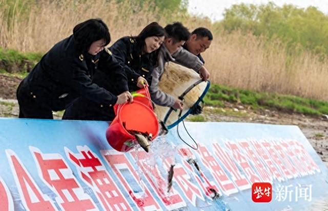 浦口区多措并举，守护长江水生生物多样性