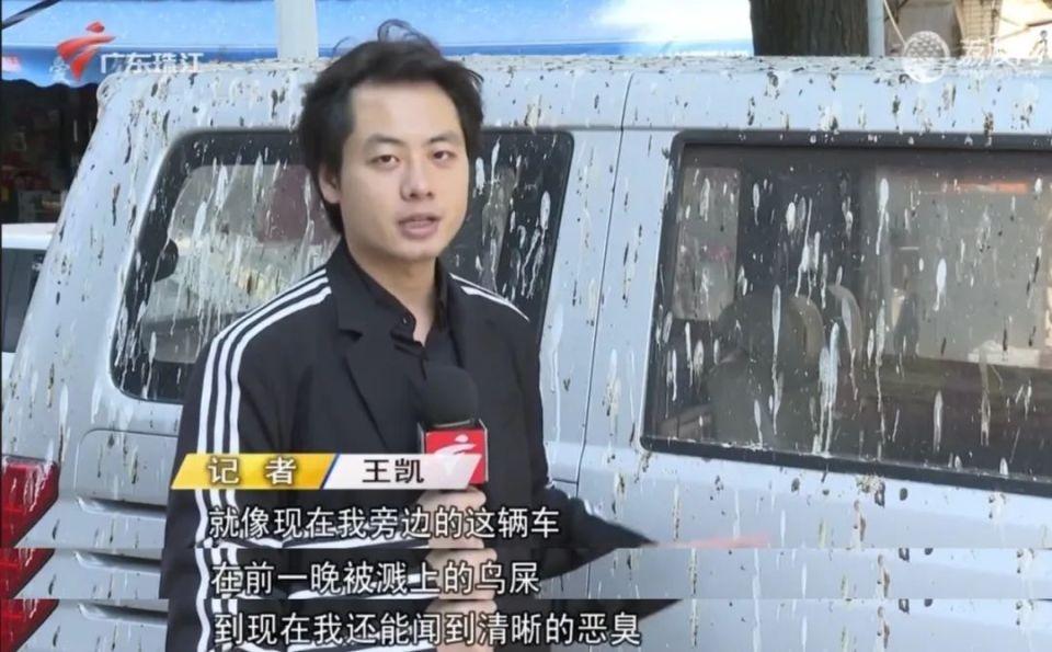 中山一街道被鸟屎淹没，汽车秒变喷绘车，现场宛如灾难片  第2张