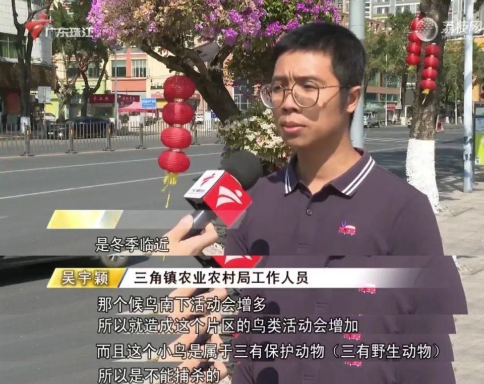 中山一街道被鸟屎淹没，汽车秒变喷绘车，现场宛如灾难片  第5张