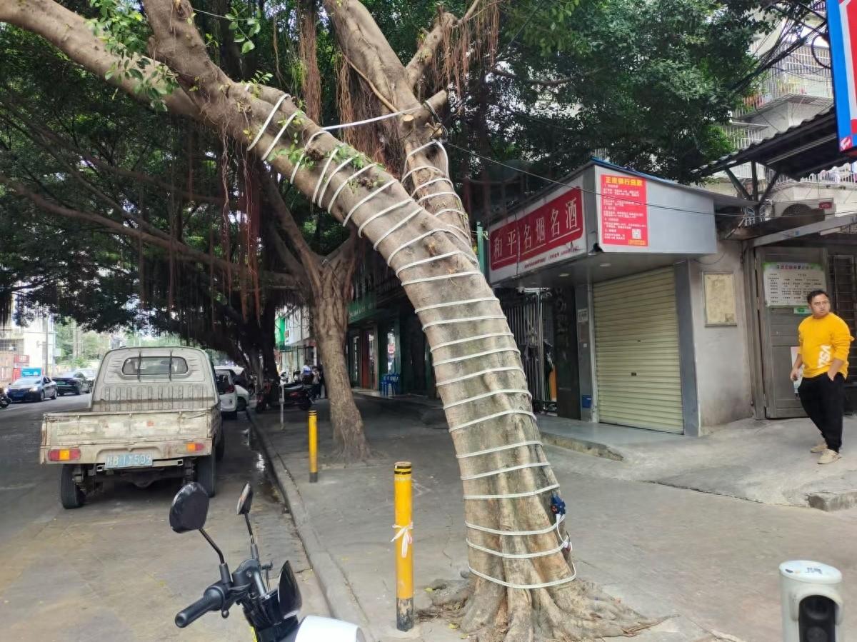 火锅店开业挂彩灯吸引城管，原因竟是……