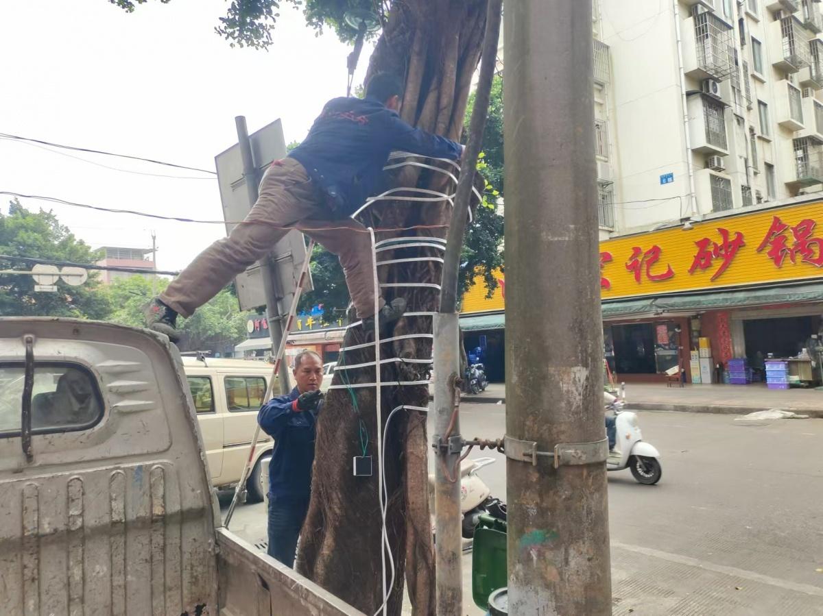 火锅店开业挂彩灯吸引城管，原因竟是……  第3张