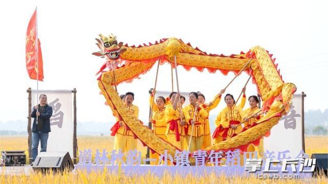 绝了！长沙这个小镇竟在稻田里办音乐会，现场太震撼  第2张