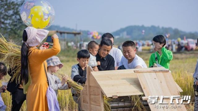 绝了！长沙这个小镇竟在稻田里办音乐会，现场太震撼  第3张
