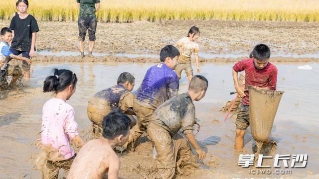绝了！长沙这个小镇竟在稻田里办音乐会，现场太震撼  第4张