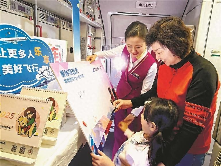 南航爱心航班：与导盲犬同行，感受无障碍飞行的温暖与感动