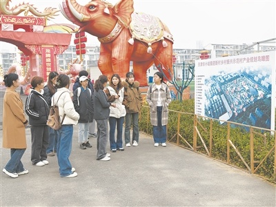 揭秘高校微专业：小而精的教育新趋势，如何引领未来人才培养？