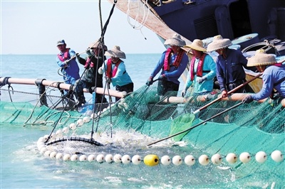 冬日暖阳下的三亚西岛：渔民丰收金鲳鱼，海面星罗密布的深水网箱  第6张