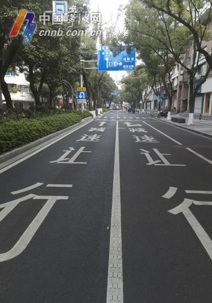 宁波交警微光追踪：30岁司机一年无违法，斑马线前显文明诚意