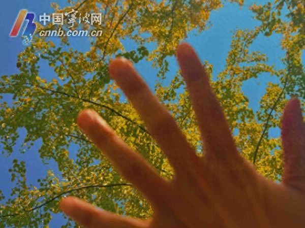 宁波天气大变脸！2字头气温告别，湿冷雨季来袭，你准备好了吗？  第1张