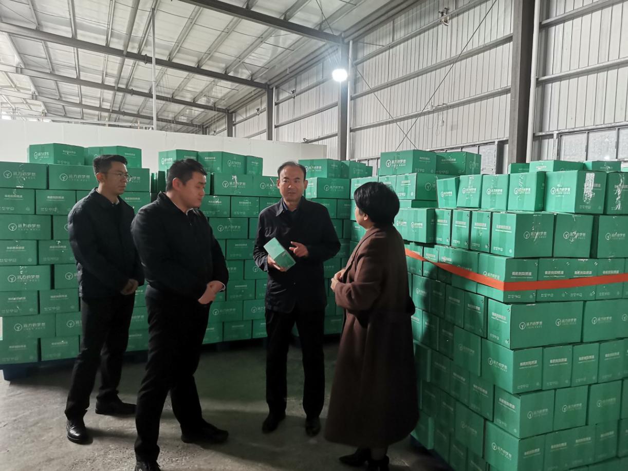 市委常委亲临一线，5家重点企业迎来发展新机遇，安全生产成关键  第3张