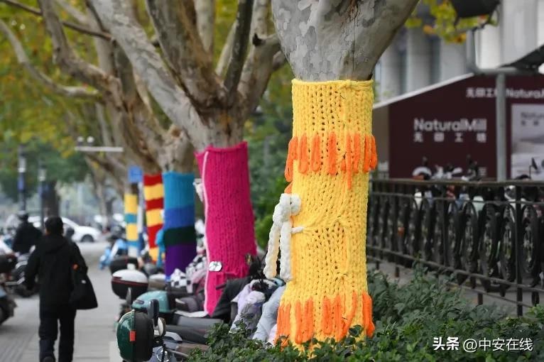 合肥街头大树穿上多巴胺毛衣，市民纷纷打卡，网友热议：好想揉搓它  第2张
