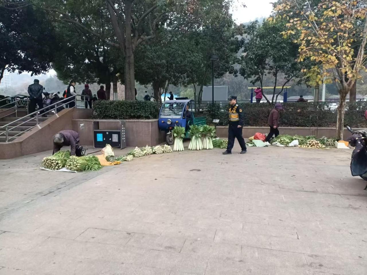 晨练老人与菜农的暖心碰撞：湖莲潭公园的清晨，如何找到和谐共处的平衡点？  第2张