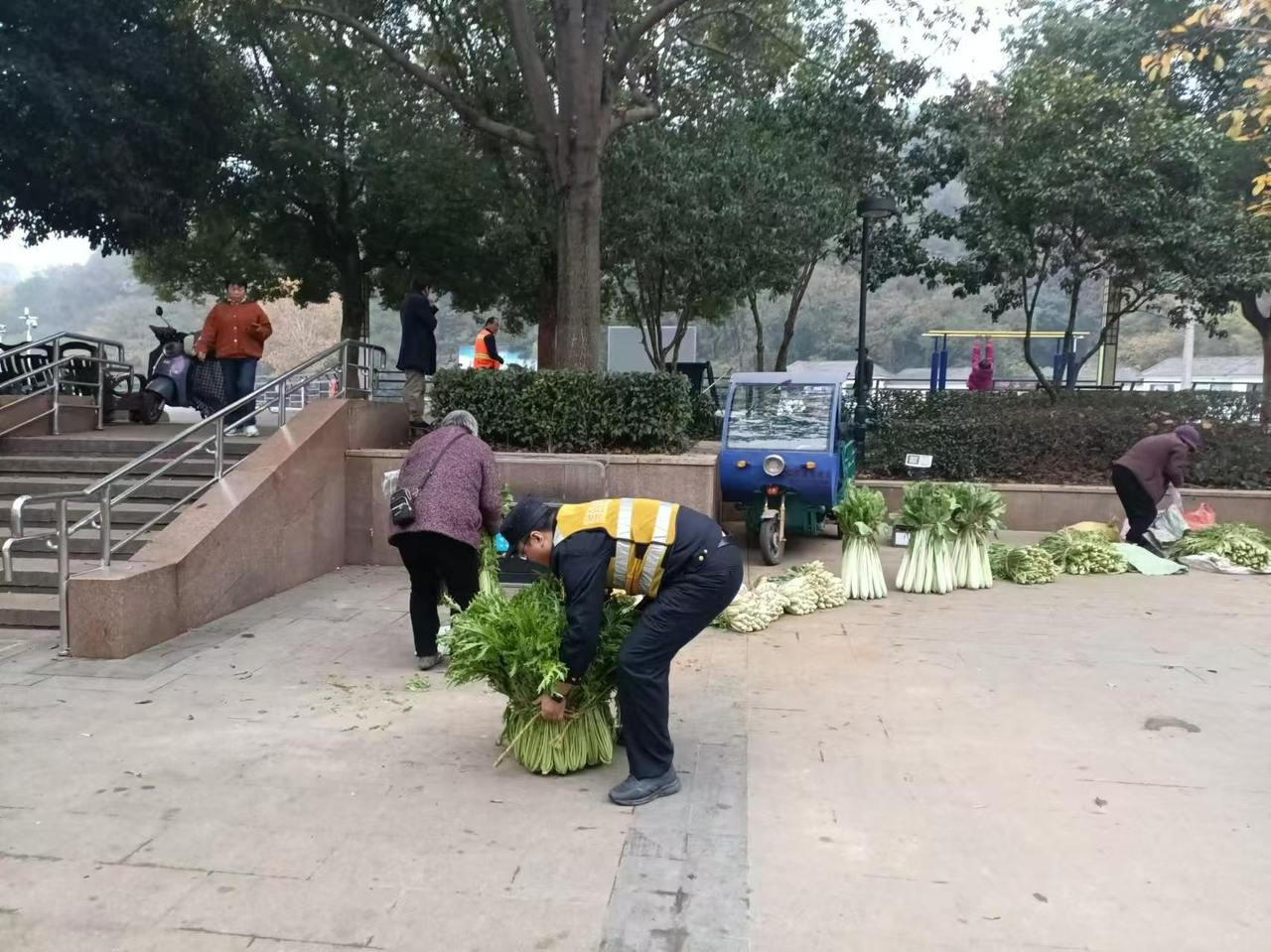晨练老人与菜农的暖心碰撞：湖莲潭公园的清晨，如何找到和谐共处的平衡点？  第3张
