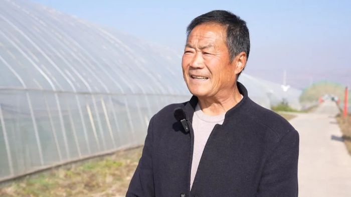 渭源县莲峰镇：反季蔬菜种植助力乡村振兴，村民增收致富新路径  第3张