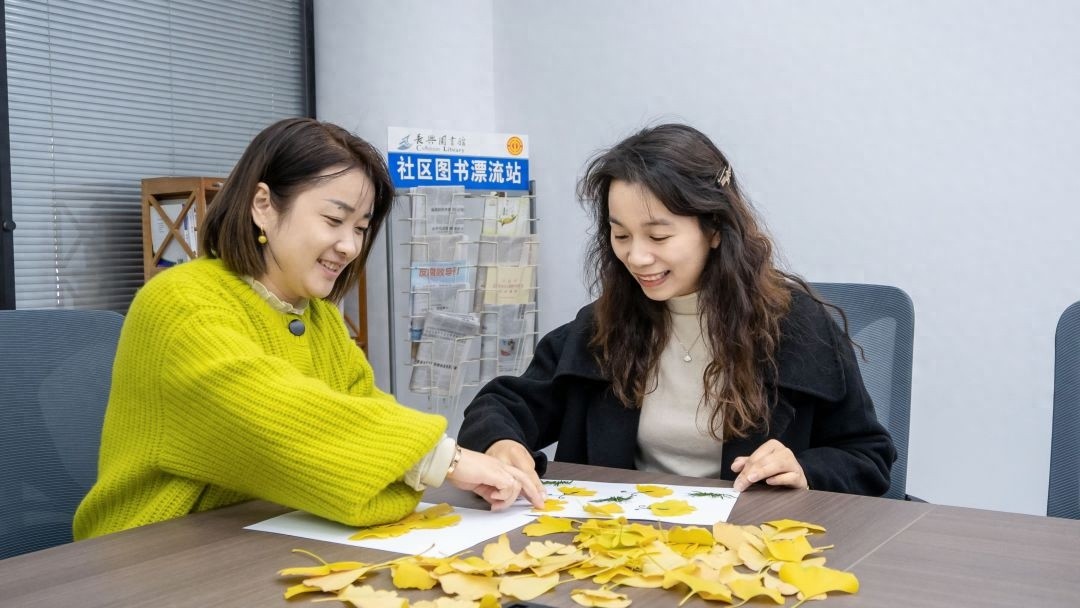 秋叶落纷纷，有‘杏’遇见：银杏树的秘密与手作之美