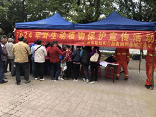 共建绿美广东：花都区野生动物保护宣传月，你参与了吗？