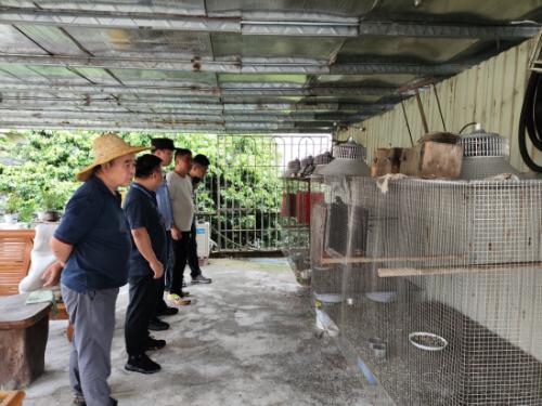 共建绿美广东：花都区野生动物保护宣传月，你参与了吗？  第2张