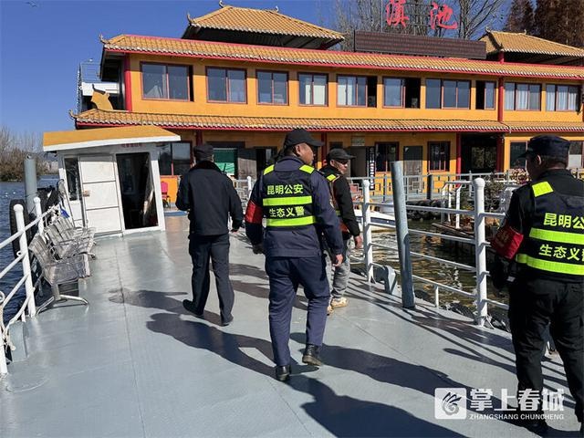 红嘴鸥飞入昆明，观鸥季来临！你了解这些安全规定吗？  第3张