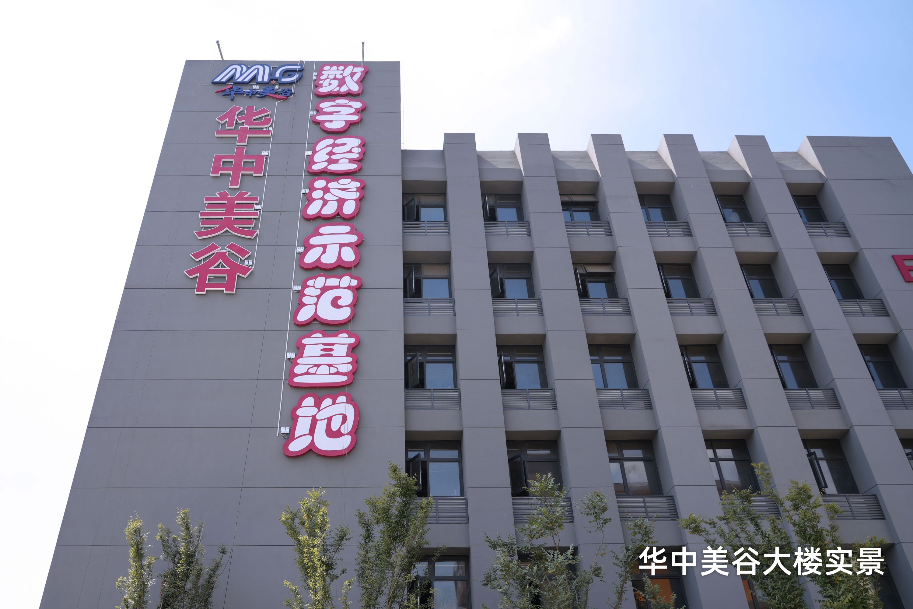 华中美谷携手江汉大学，打造美妆科技新纪元，每日直播销售额破30万  第3张