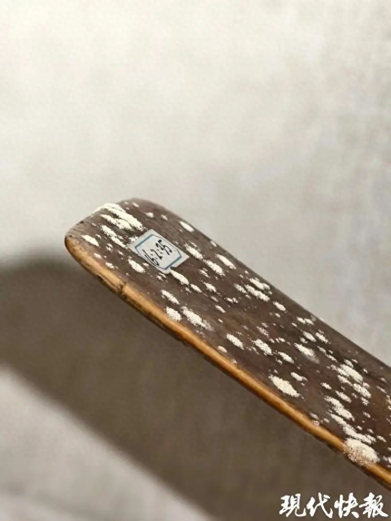 博物馆珍稀象牙文物竟长满霉斑，专家紧急清理，背后真相令人唏嘘