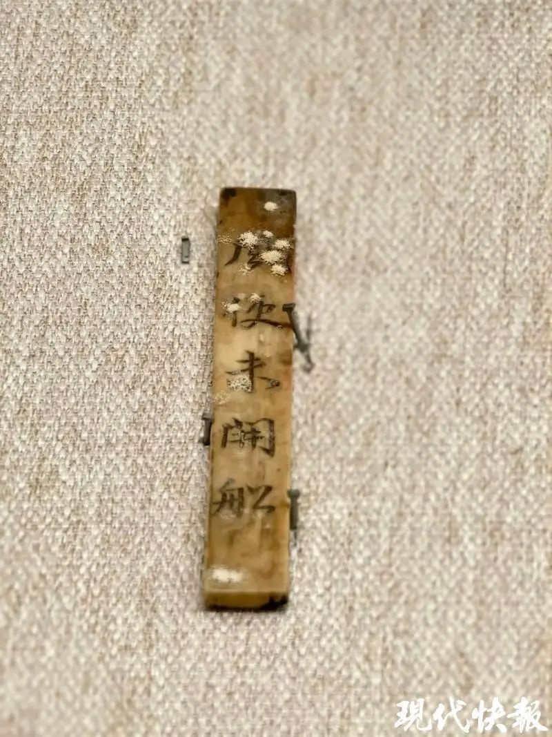 博物馆珍稀象牙文物竟长满霉斑，专家紧急清理，背后真相令人唏嘘  第3张